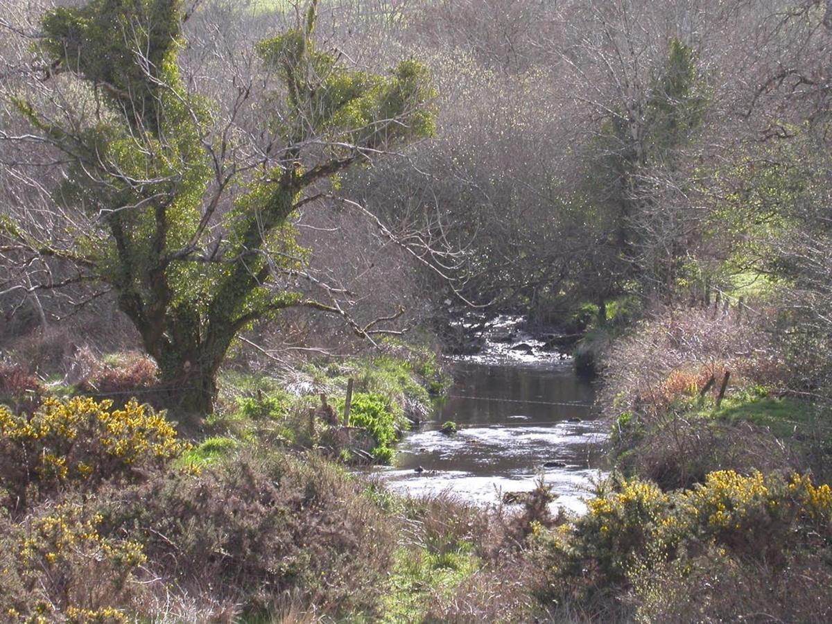 Ravens Oak, West Cork Lejlighed Bantry Eksteriør billede